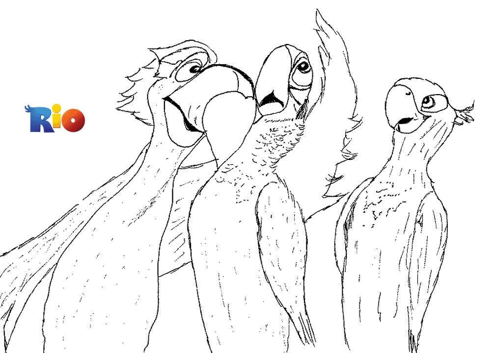 coloriage rio blue et perla